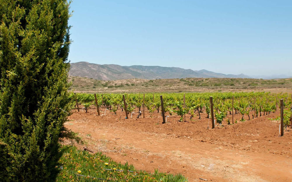 Vila Rancho El Parral San Marcos  Exteriér fotografie