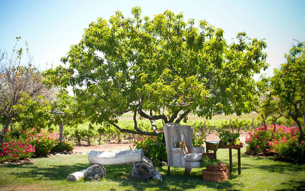 Vila Rancho El Parral San Marcos  Exteriér fotografie