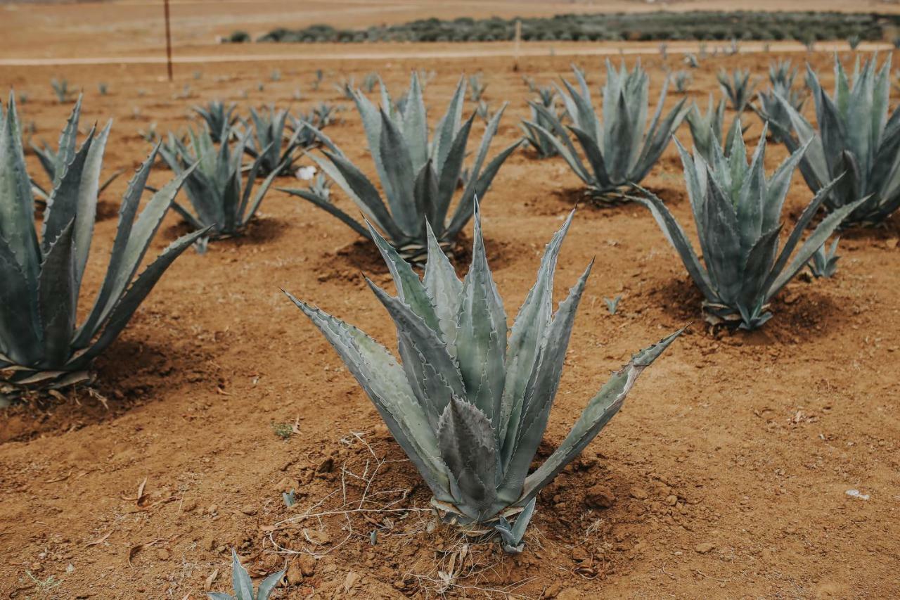 Vila Rancho El Parral San Marcos  Exteriér fotografie